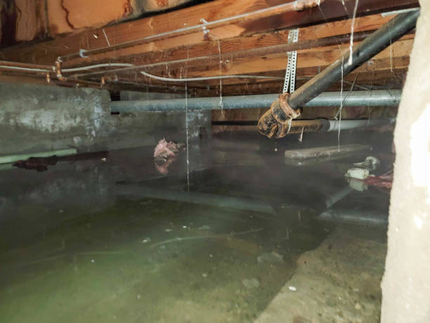 Best Water damage restoration near me  in West Frankfort, IL